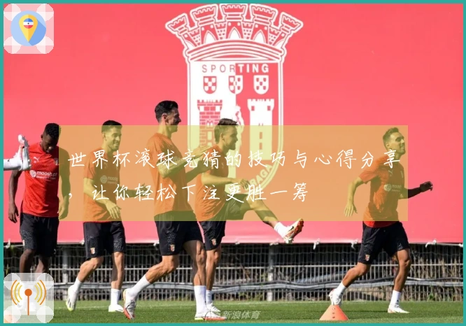 世界杯滚球竞猜的技巧与心得分享，让你轻松下注更胜一筹