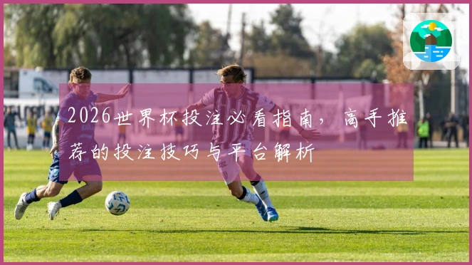 2026世界杯投注必看指南，高手推荐的投注技巧与平台解析
