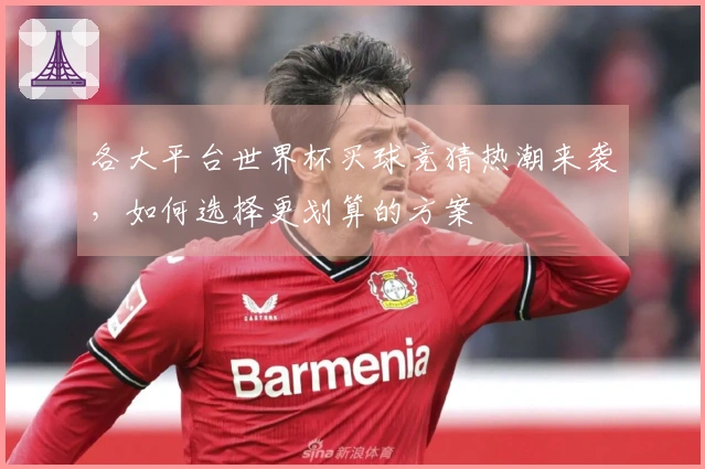 各大平台世界杯买球竞猜热潮来袭，如何选择更划算的方案