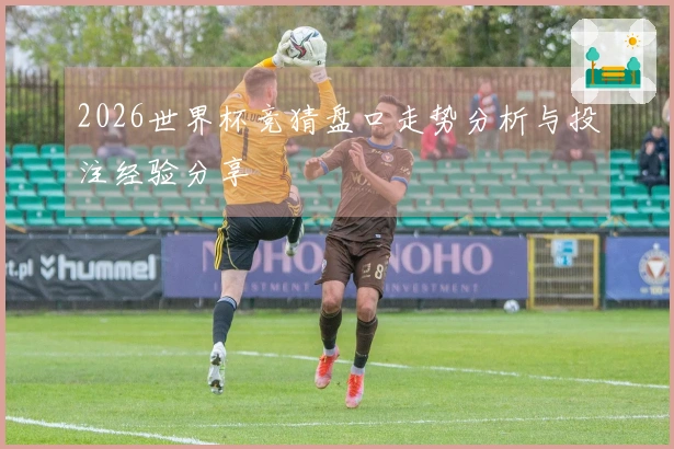 2026世界杯竞猜盘口走势分析与投注经验分享