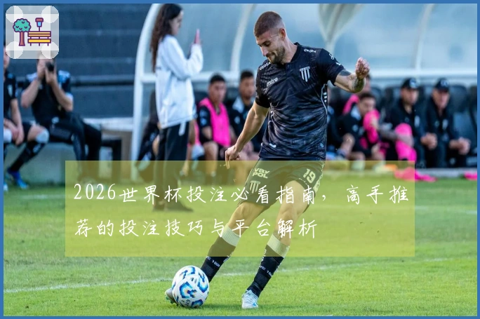 2026世界杯投注必看指南，高手推荐的投注技巧与平台解析