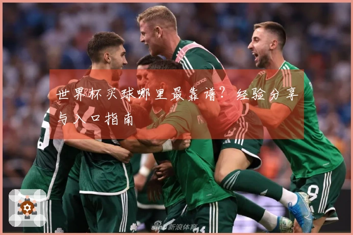 世界杯买球哪里最靠谱?经验分享与入口指南