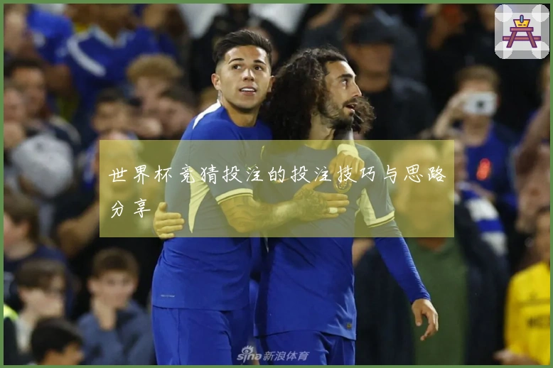 世界杯竞猜投注的投注技巧与思路分享