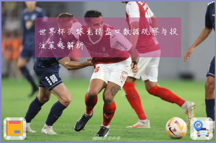 世界杯买球竞猜盘口数据观察与投注策略解析