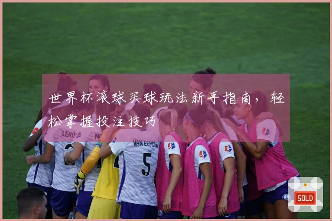 世界杯滚球买球玩法新手指南，轻松掌握投注技巧