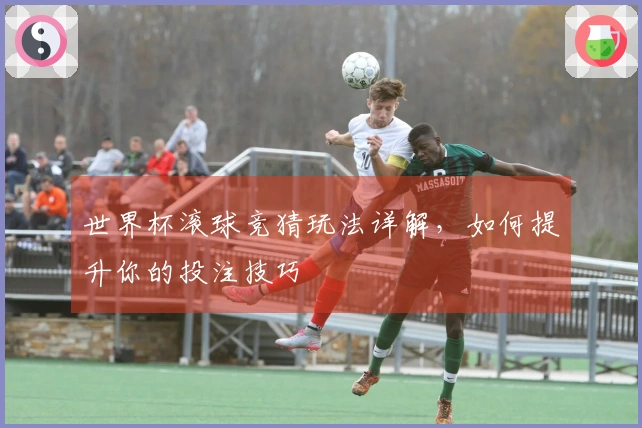 世界杯滚球竞猜玩法详解，如何提升你的投注技巧