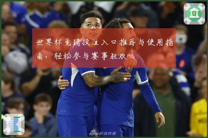 世界杯竞猜投注入口推荐与使用指南，轻松参与赛事狂欢