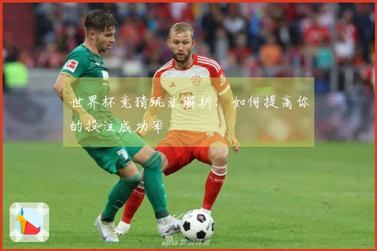 世界杯竞猜玩法解析：如何提高你的投注成功率