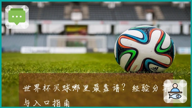 世界杯买球哪里最靠谱？经验分享与入口指南