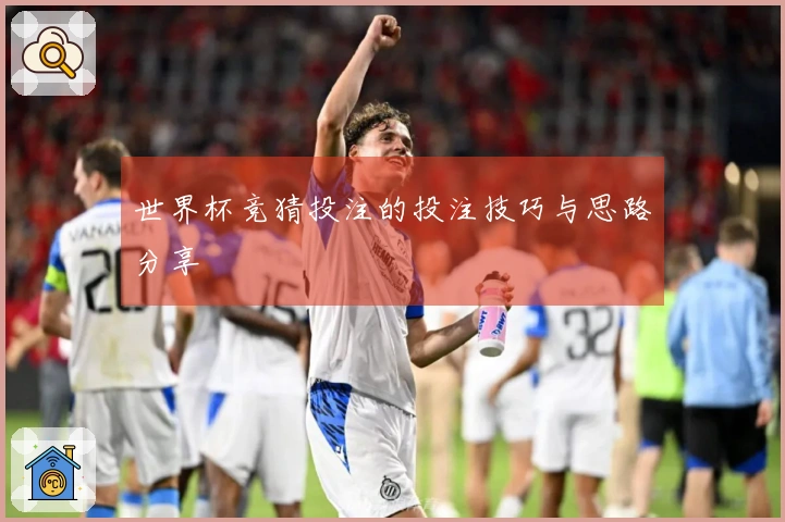 世界杯竞猜投注的投注技巧与思路分享