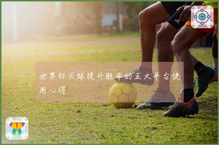 世界杯买球提升胜率的五大平台使用心得